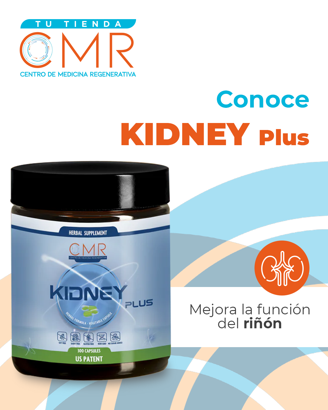 ¿Cómo cuidar tus riñones de forma integral?