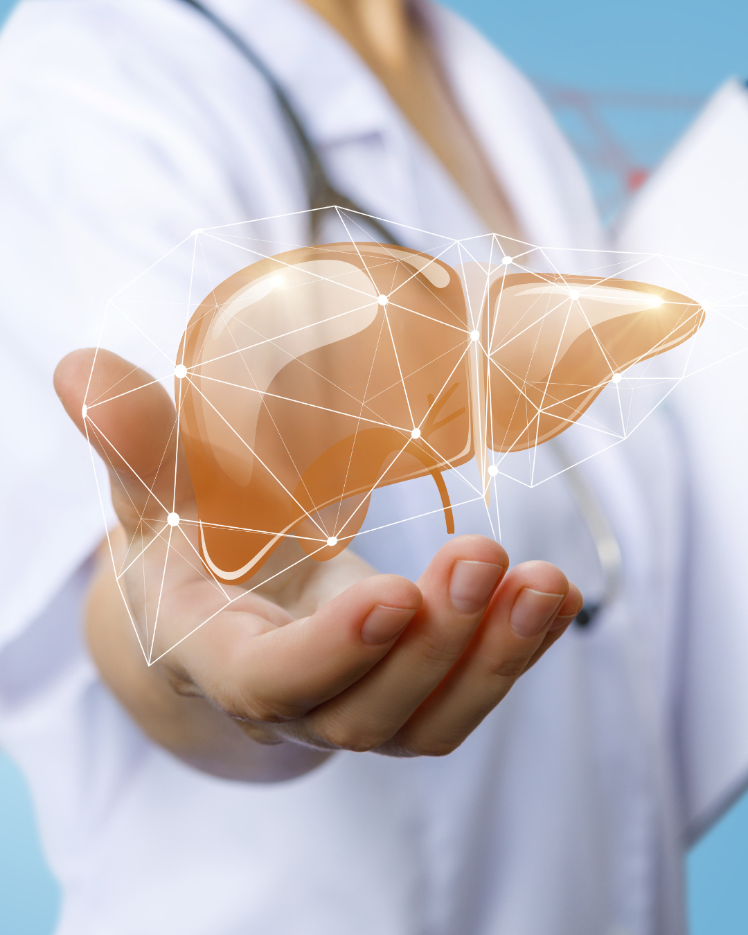 El hígado es el gran desintoxicador del cuerpo.