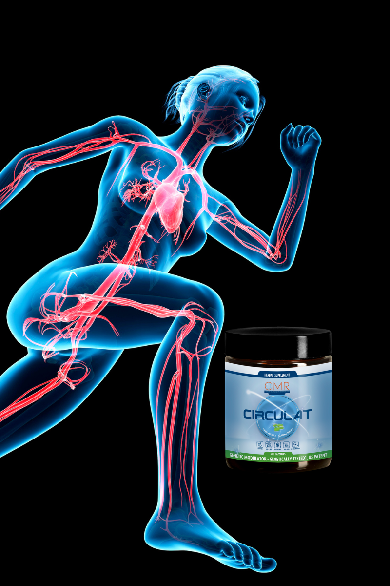 Circulat. Se trata de una combinación avanzada de veintidós ingredientes botánicos cuidadosamente seleccionados y científicamente respaldados, diseñada específicamente para restablecer la salud del sistema vascular en personas con diabetes, mala circulación al corazón y úlceras que no cicatrizan.